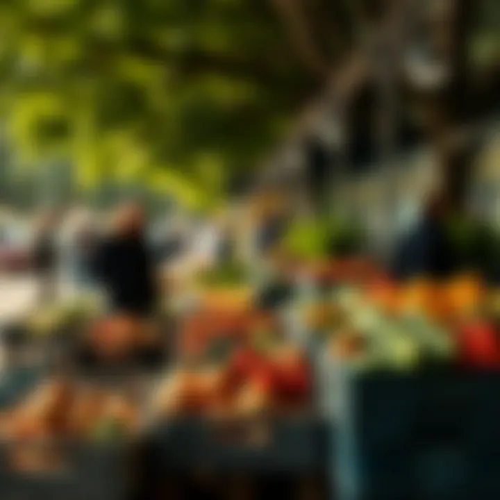 Shoppers browsing through neatly arranged crates of fresh produce under morning sunlight in a park setting