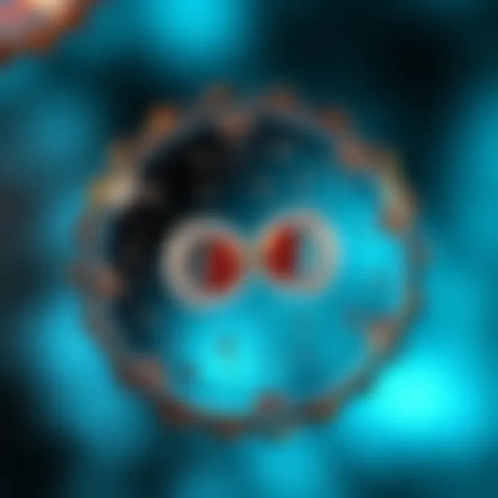 Diagram showing a single-celled organism dividing into two identical daughter cells